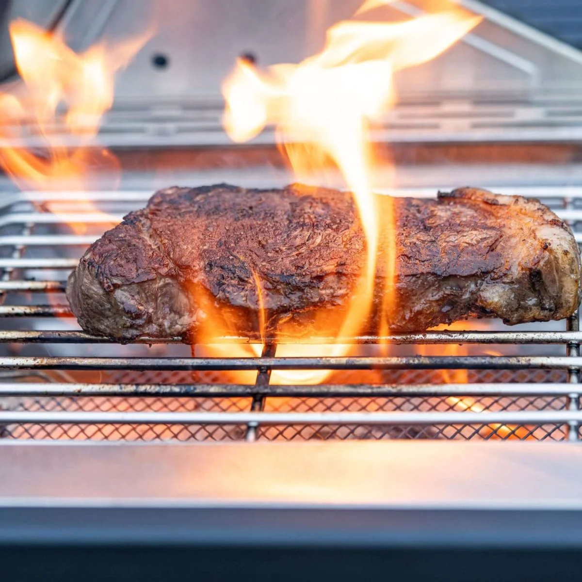 35633 | Stainless Infrared Propane Gas Grill - Image 13