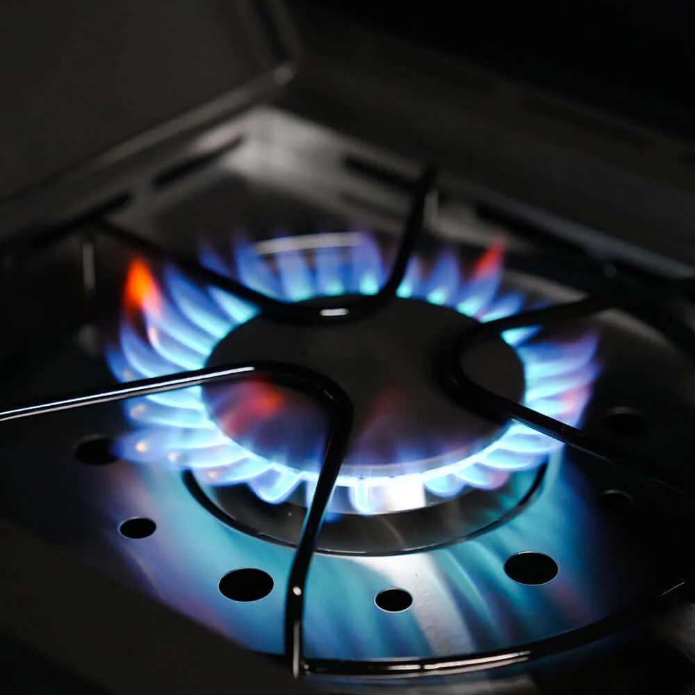 Eminence 425 | Iconic Fortified Propane Gas Grill - Image 4