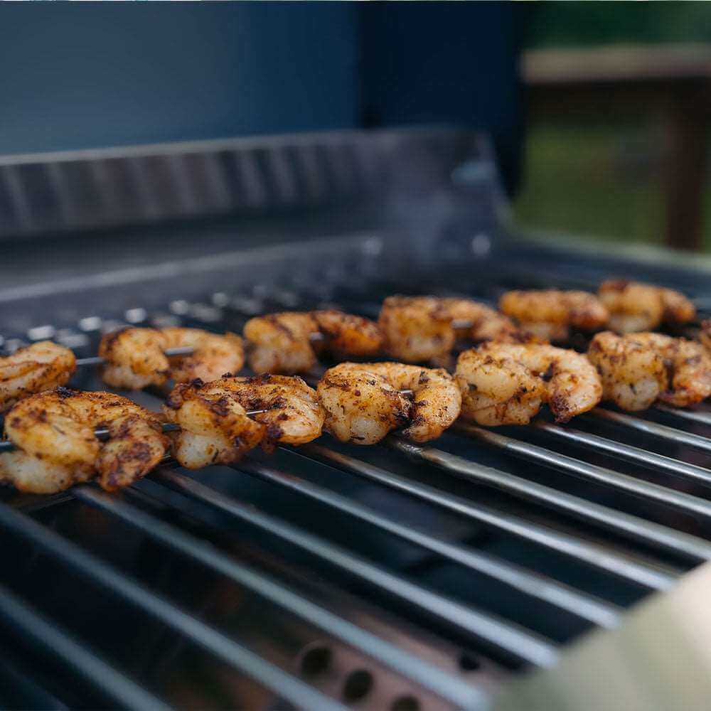 G22 | Stainless Tabletop Propane Gas Grill - Image 12