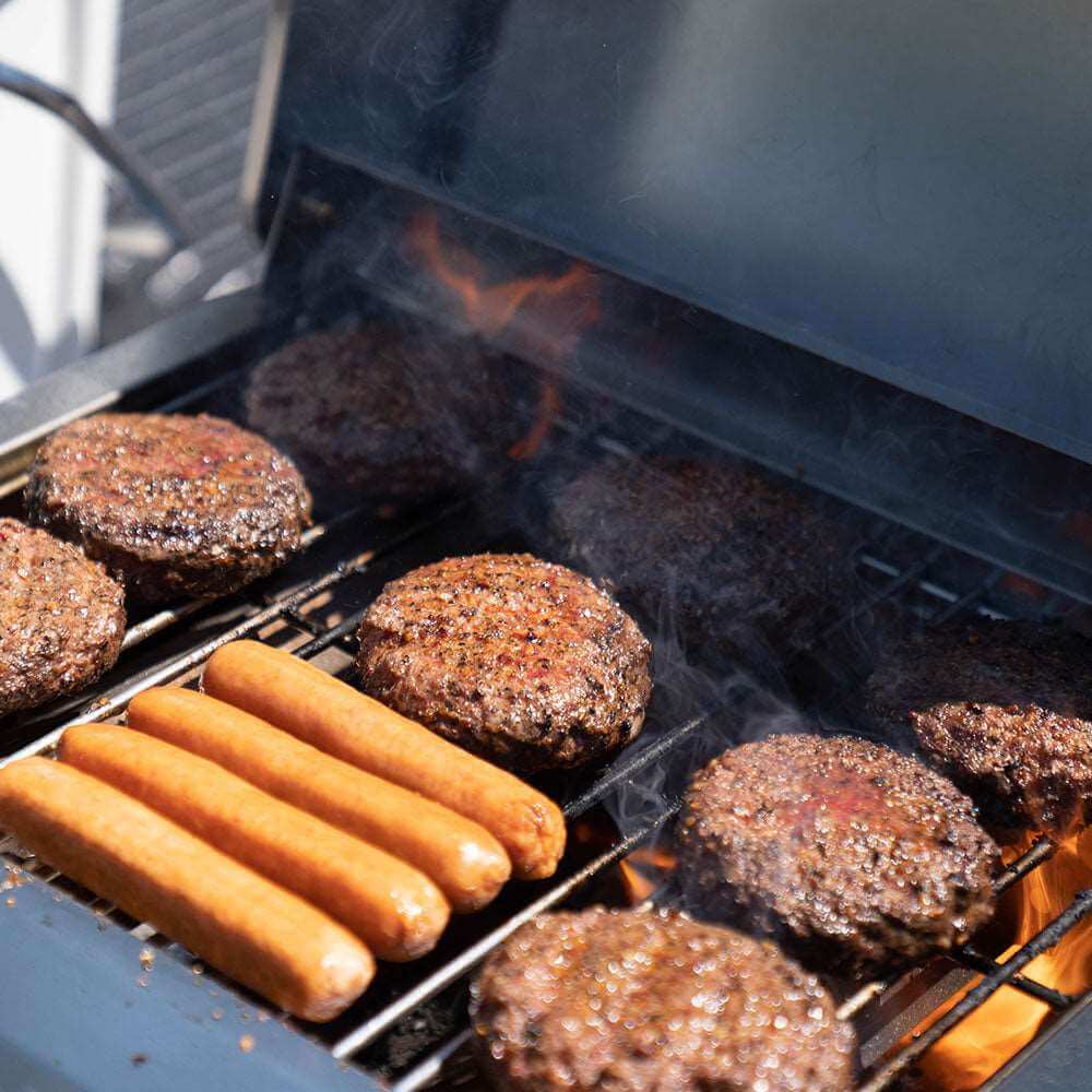 G22 | Stainless Tabletop Propane Gas Grill - Image 15