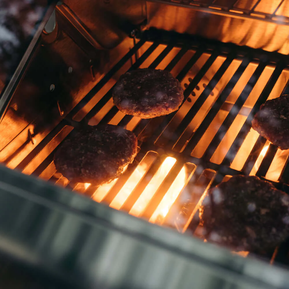 Mesa 400 | Stainless Gas Grill - Image 10