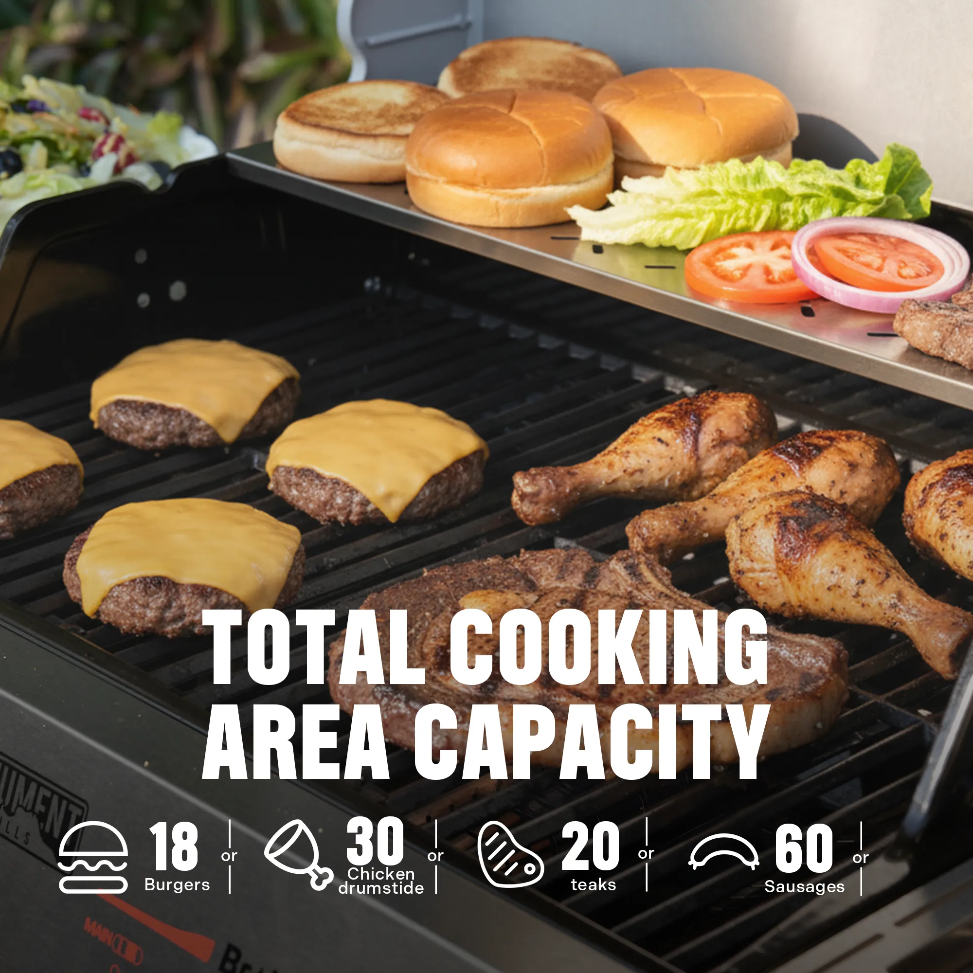 Mesa II 410BZ | Stainless Propane Gas Grill - Image 3